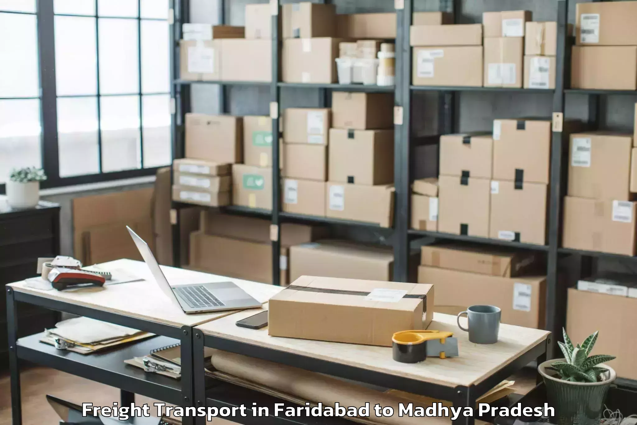 Get Faridabad to Badnawar Freight Transport